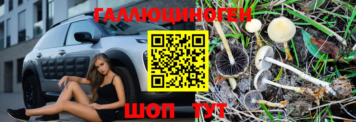 Галлюциногенные грибы Magic Shrooms Красногорск