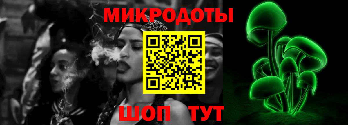 Красногорск  Псилоцибиновые грибы Psilocybine cubensis  Вход с VPN 